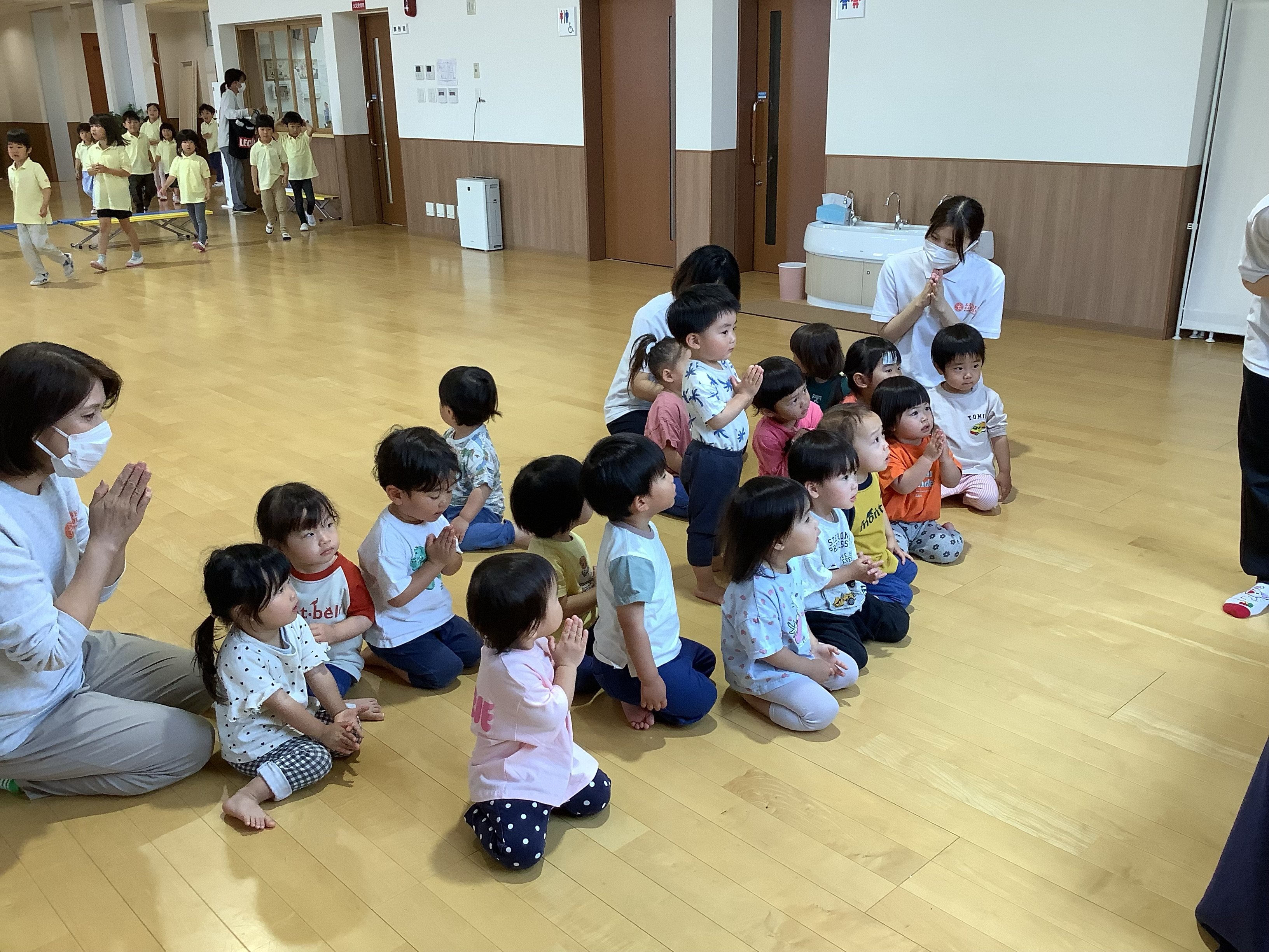 つぼみ2.jpeg