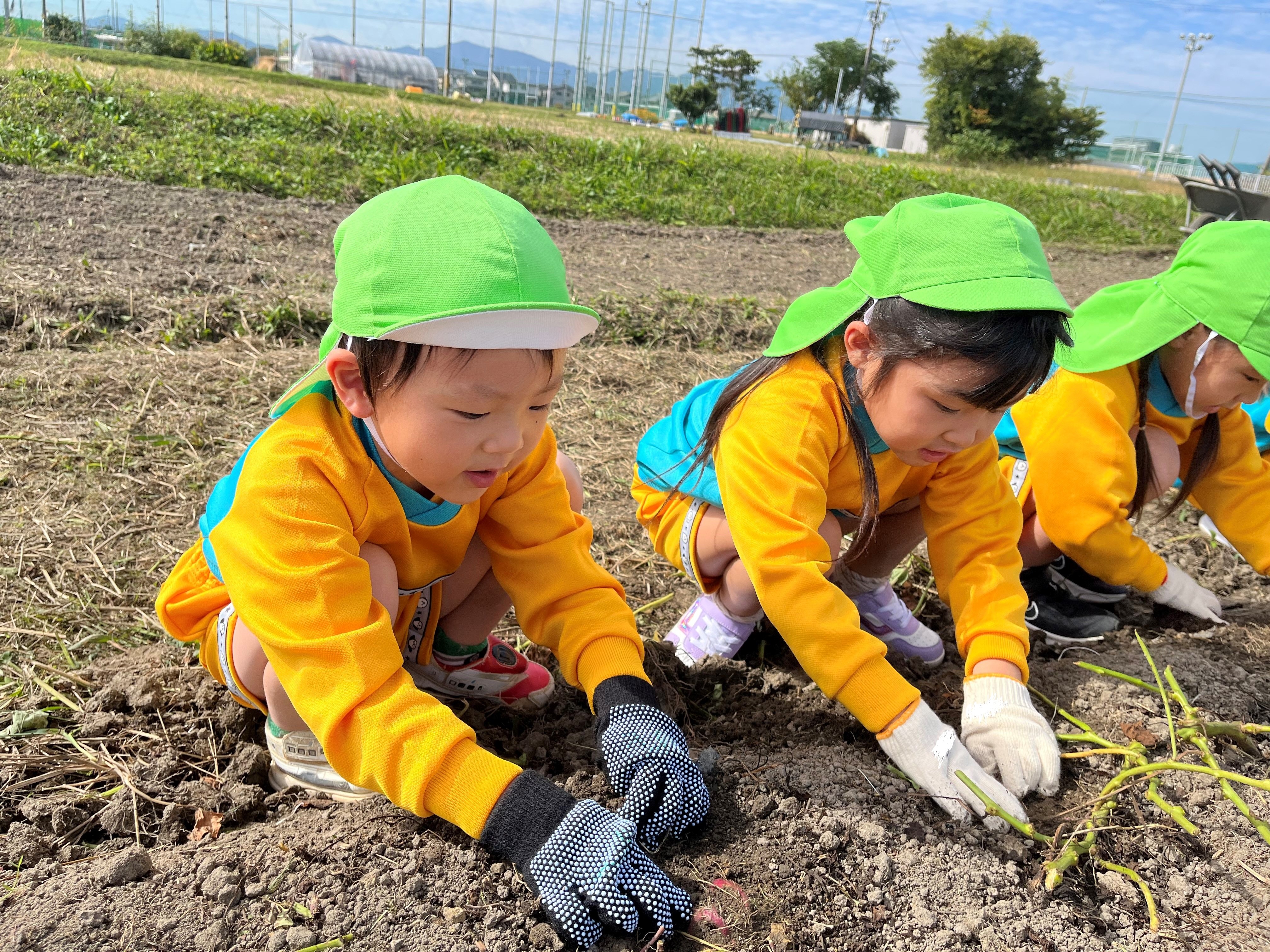 太陽組掘っているとき.jpg